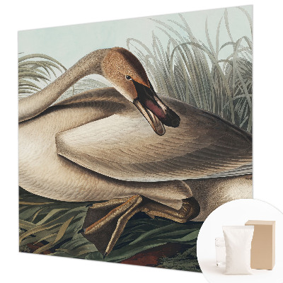 Fototapet vlies imprimat Naturlig fugl