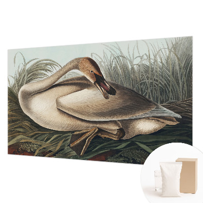 Fototapet vlies imprimat Naturlig fugl