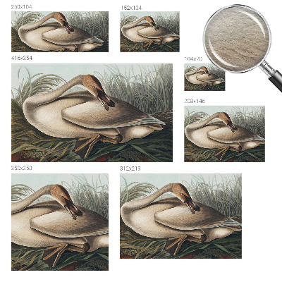 Fototapet vlies imprimat Naturlig fugl