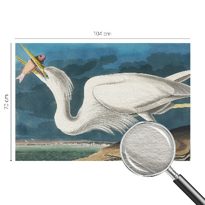 Fototapet vlies pentru copii Fugl med fisk