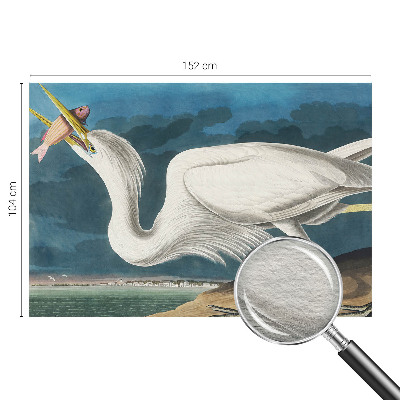 Fototapet vlies pentru copii Fugl med fisk