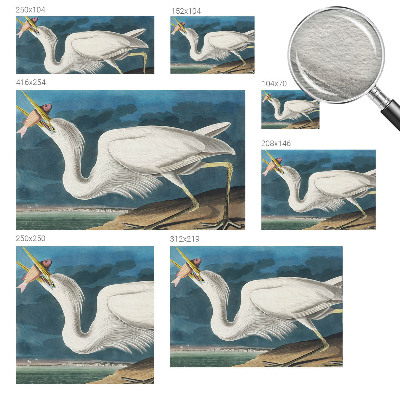 Fototapet vlies pentru copii Fugl med fisk