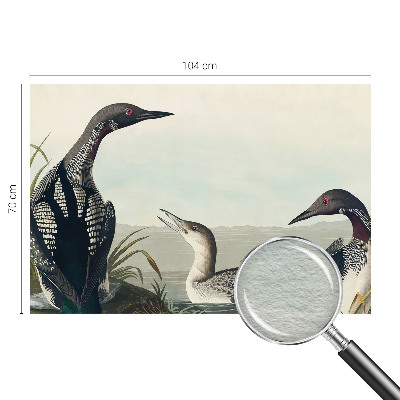 Fototapet vlies pentru dormitor Fugle over vandet