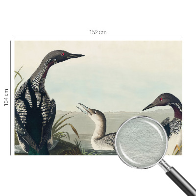 Fototapet vlies pentru dormitor Fugle over vandet