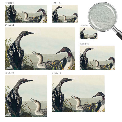 Fototapet vlies pentru dormitor Fugle over vandet