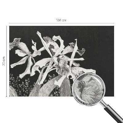 Fototapet vlies pentru copii orkideillustration