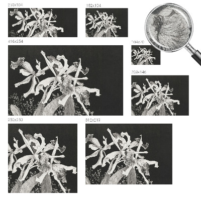 Fototapet vlies pentru copii orkideillustration