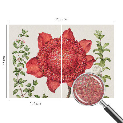 Tapet foto decorativ Blomsteragtig elegance