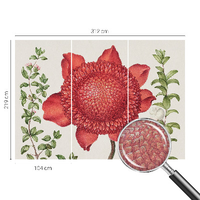 Tapet foto decorativ Blomsteragtig elegance