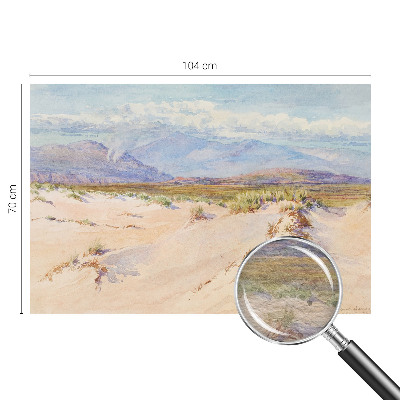 Tapet Ørkenlandskab