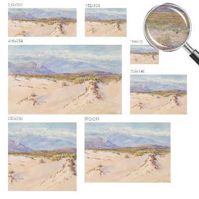 Tapet Ørkenlandskab