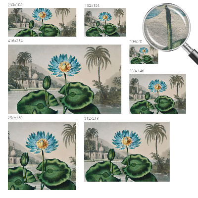 Fototapet vlies Eksotisk landskab