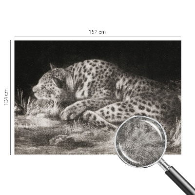 Fototapet vlies pentru living Leopard hviler sig