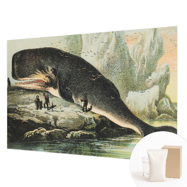 Tapet foto Havgigantisme