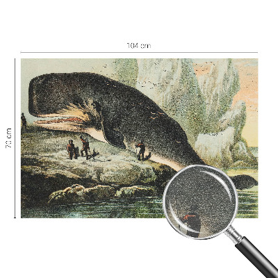 Tapet foto Havgigantisme