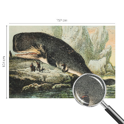 Tapet foto Havgigantisme