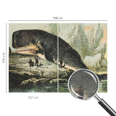 Tapet foto Havgigantisme