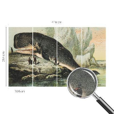 Tapet foto Havgigantisme