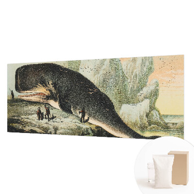 Tapet foto Havgigantisme