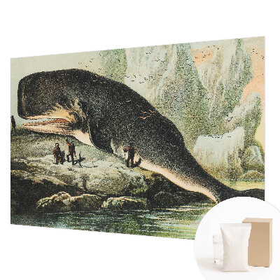 Tapet foto Havgigantisme