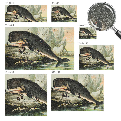 Tapet foto Havgigantisme