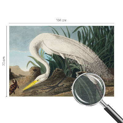 Fototapet la comandă Majestætisk hejre