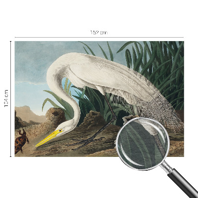 Fototapet la comandă Majestætisk hejre