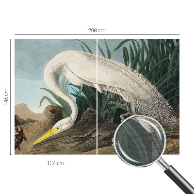 Fototapet la comandă Majestætisk hejre