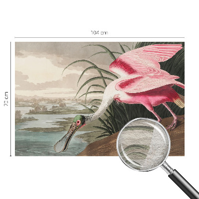 Fototapet modern la comandă Eksotisk fugl