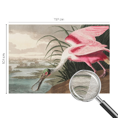 Fototapet modern la comandă Eksotisk fugl