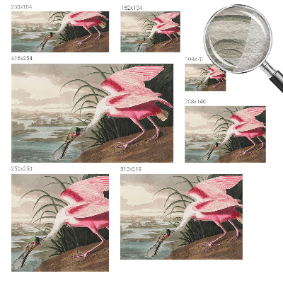 Fototapet modern la comandă Eksotisk fugl