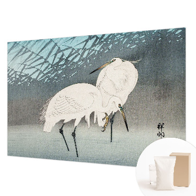 Fototapet pentru living Sarte fugle