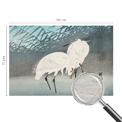 Fototapet pentru living Sarte fugle