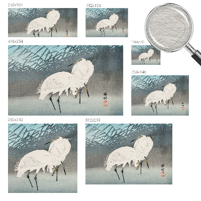 Fototapet pentru living Sarte fugle