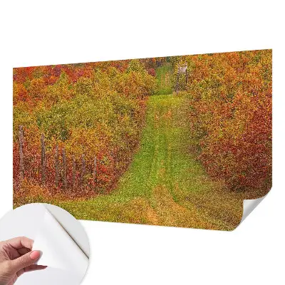 Fototapet autocolant Lebădă și nuferi