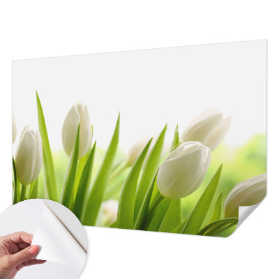 Fototapet 3D cu motiv de grădină exotică