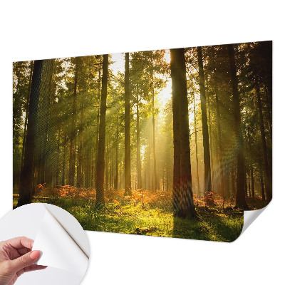 Fototapet 3d autoadeziv Pasăre colorată