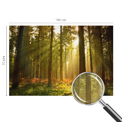 Fototapet 3D autoadeziv cu pasăre colorată