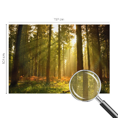 Fototapet 3D autoadeziv cu pasăre colorată