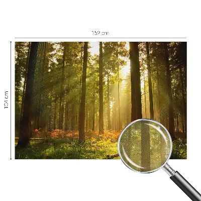 Fototapet 3d autoadeziv Pasăre colorată