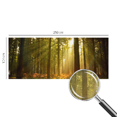 Fototapet 3D autoadeziv cu pasăre colorată