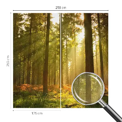 Fototapet 3d autoadeziv Pasăre colorată