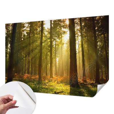 Fototapet 3D autoadeziv cu pasăre colorată