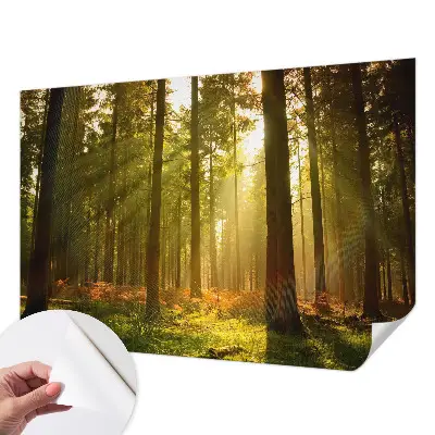 Fototapet 3d autoadeziv Pasăre colorată