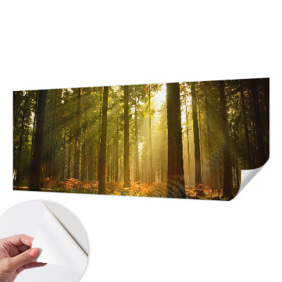 Fototapet 3D autoadeziv cu pasăre colorată
