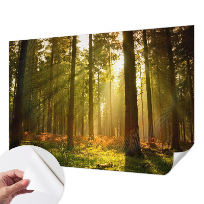 Fototapet 3D autoadeziv cu pasăre colorată