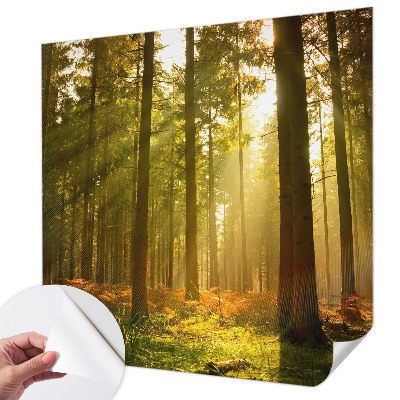 Fototapet 3D autoadeziv cu pasăre colorată