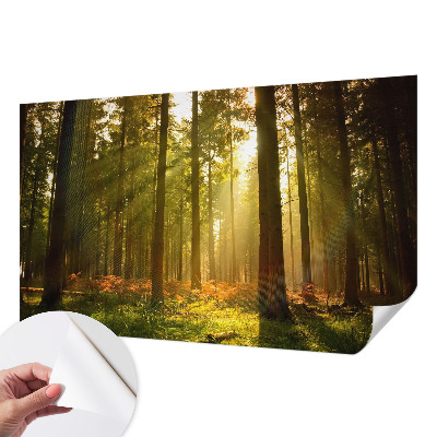 Fototapet 3D autoadeziv cu pasăre colorată