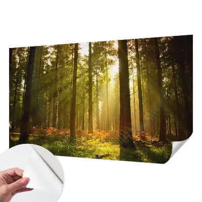 Fototapet 3d autoadeziv Pasăre colorată