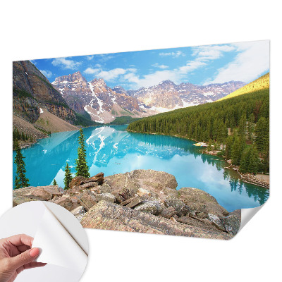 Fototapet 3D pentru living cu model de cercuri din lemn